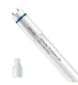 Philips Rura LED T8 MASTER (EM/Mains) High Output 8W 1000lm - 830 Ciepła Biel | 60cm - Zamienne 18W